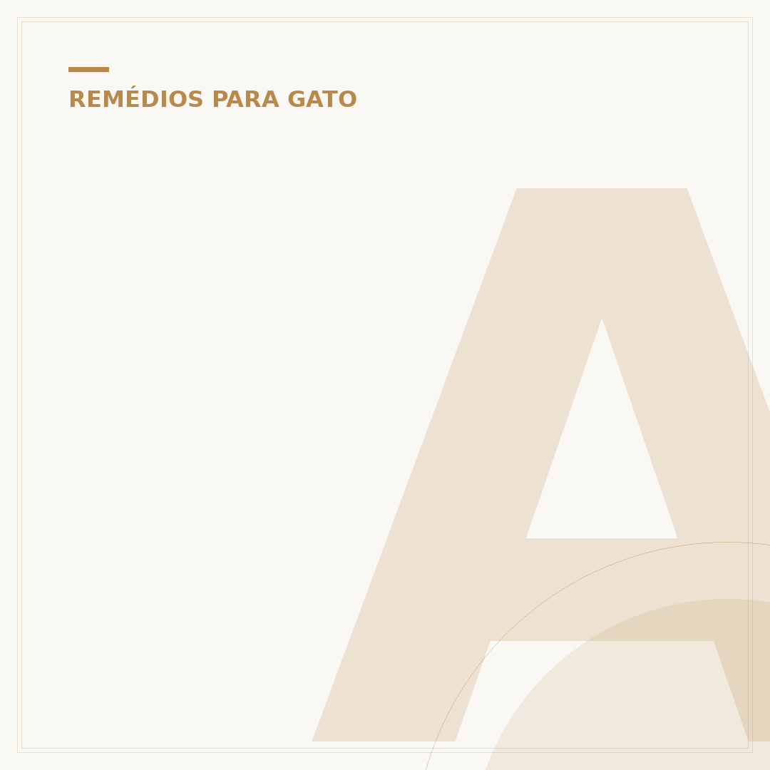 Abscesso no gato estourou: o que fazer e como agir