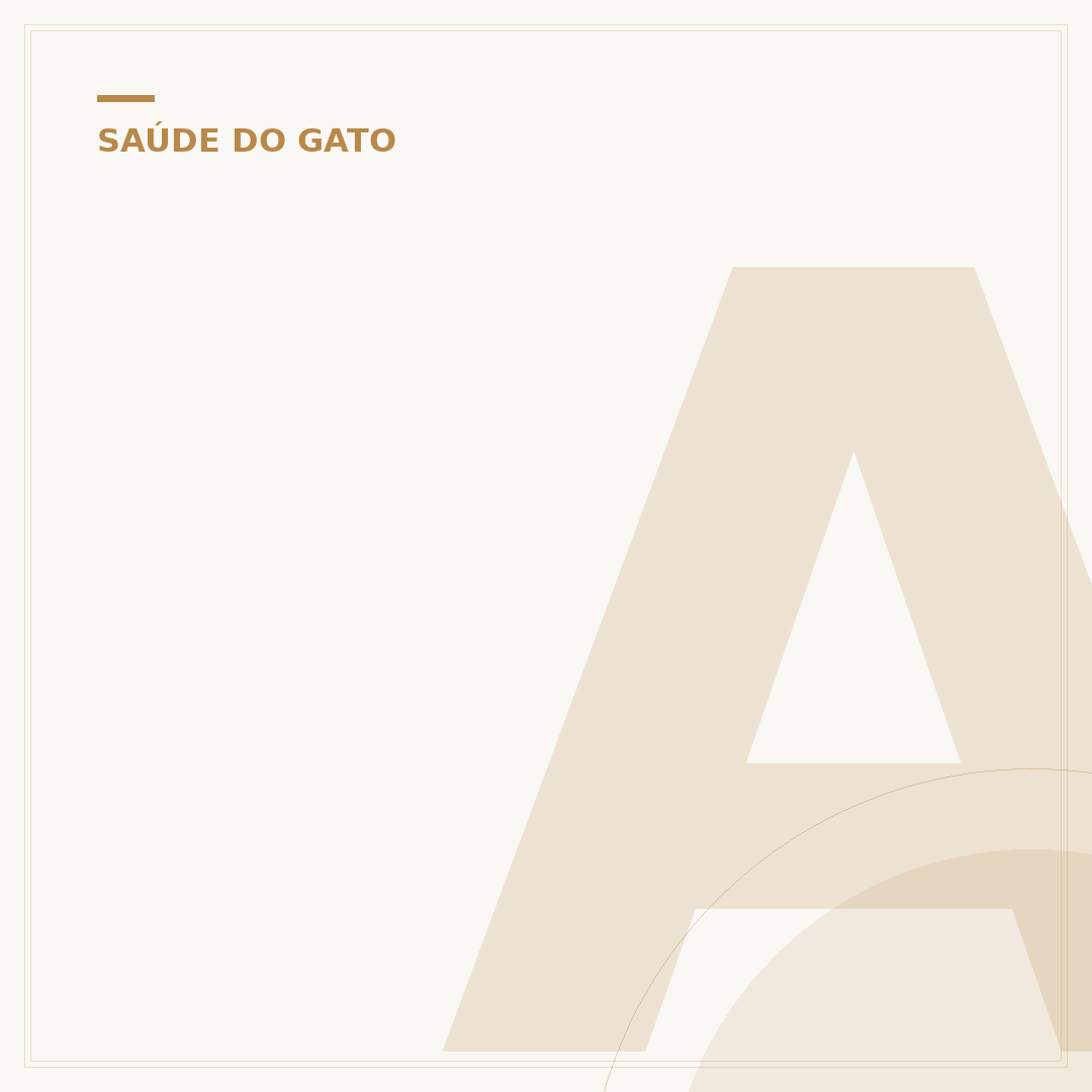 Abscesso em gato pode matar? Entenda os riscos e o que fazer