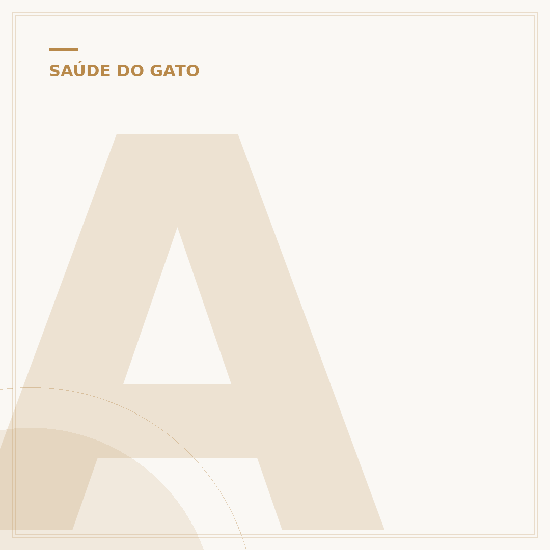 Academia Mágica do Gato Momo: o que é e onde encontrar