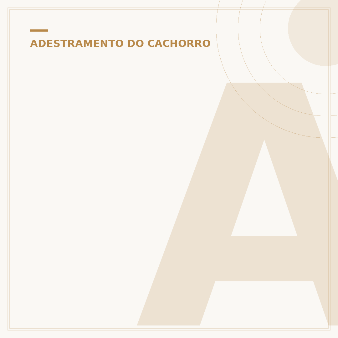 Adestramento canino