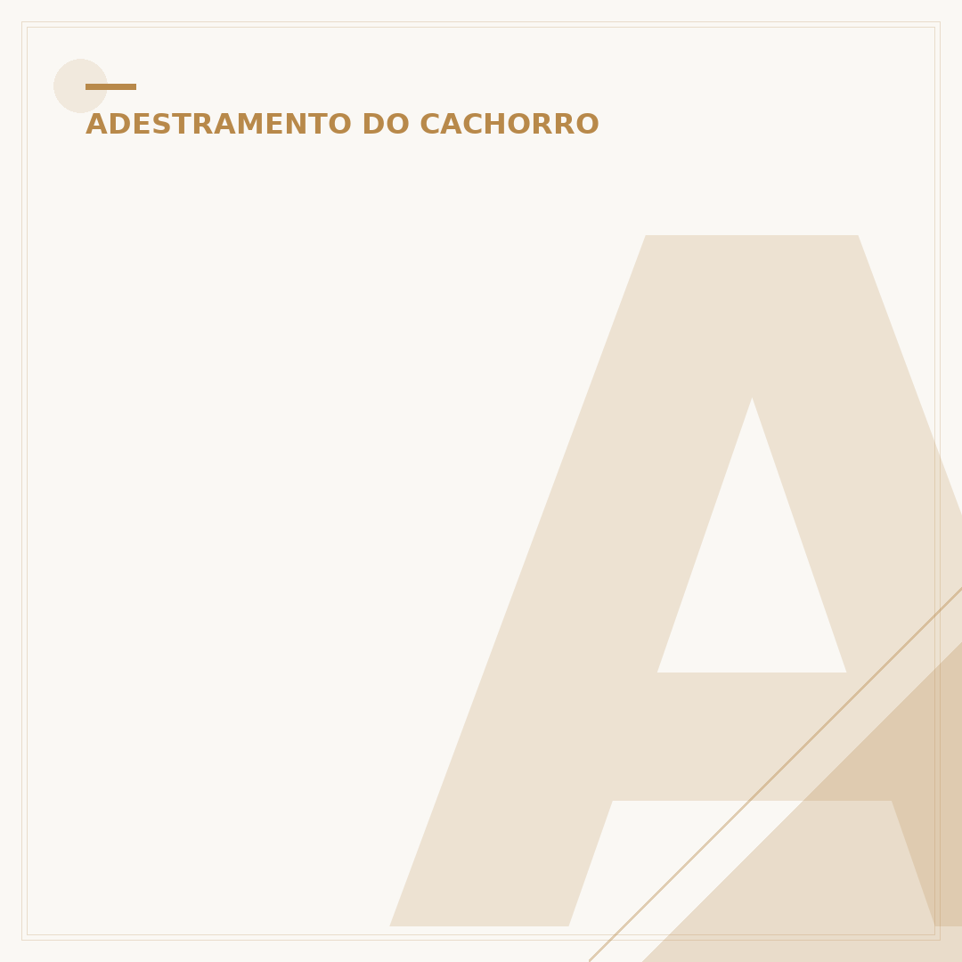 Adestramento de animais