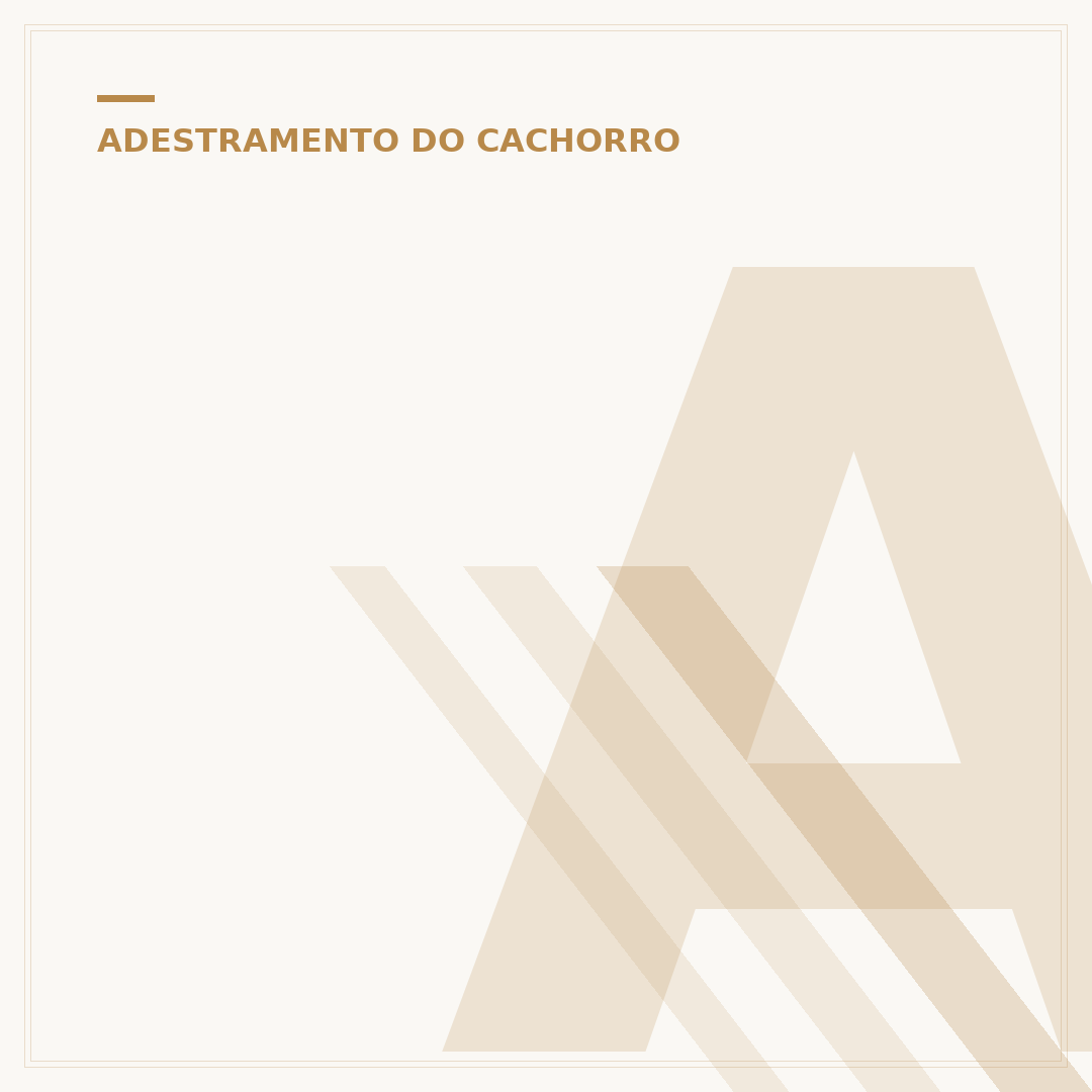 Adestramento de cães: o que é e como funciona