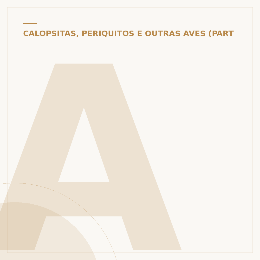 Adestrar calopsita: técnicas para um vínculo duradouro