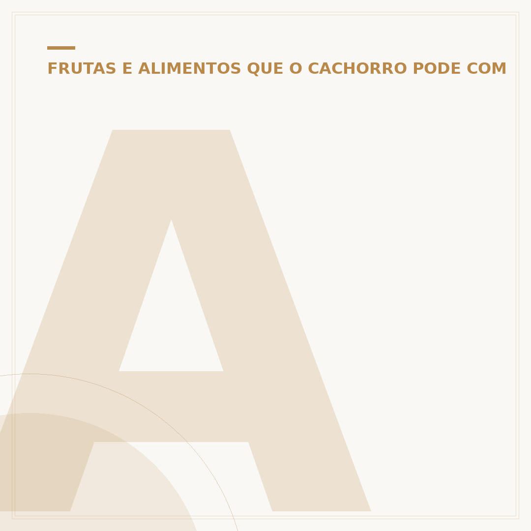Alimentação de filhote de cachorro aos 45 dias