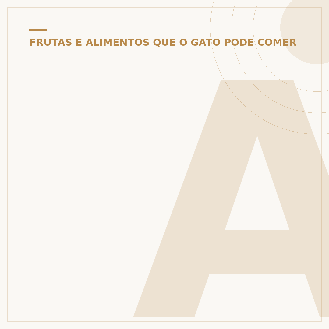 Alimento para gato filhote