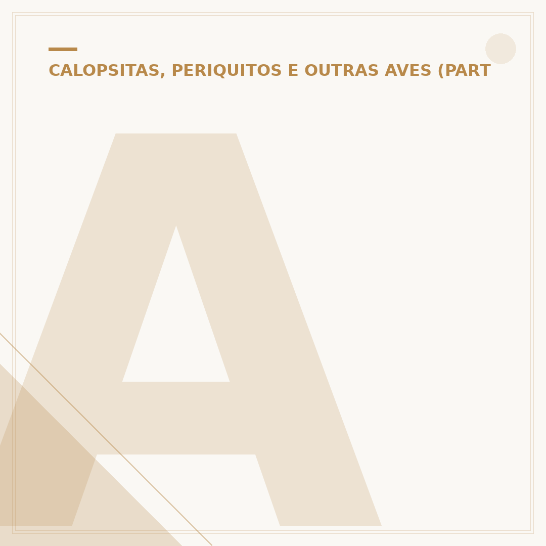 Alto do Papagaio: o que é e como explorar