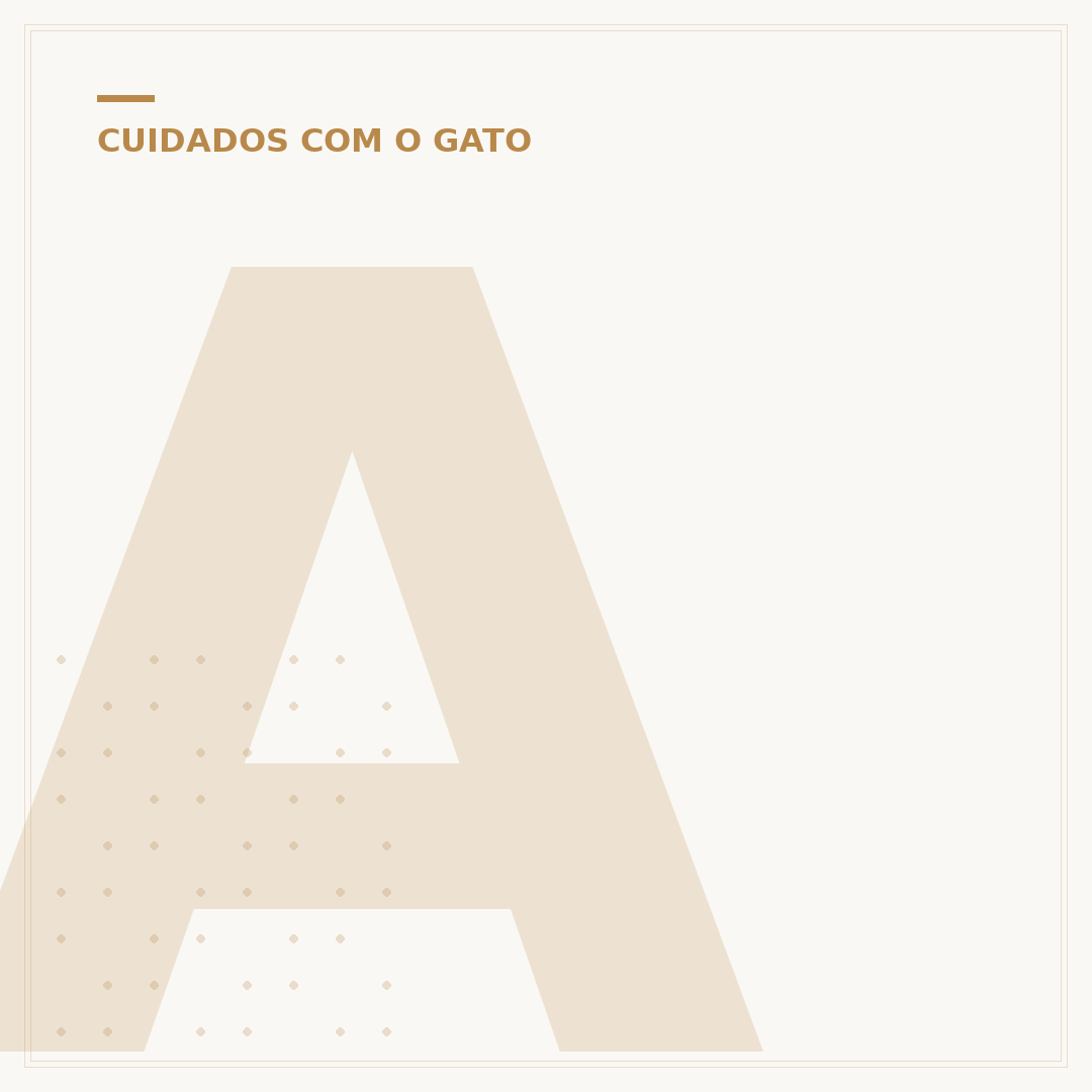 Anatomia do gato fêmea: um olhar aprofundado