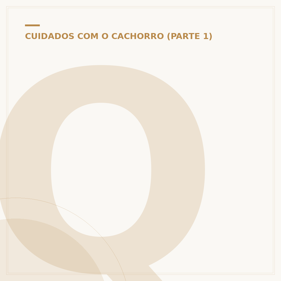 Quantos anos um cachorro pode viver?