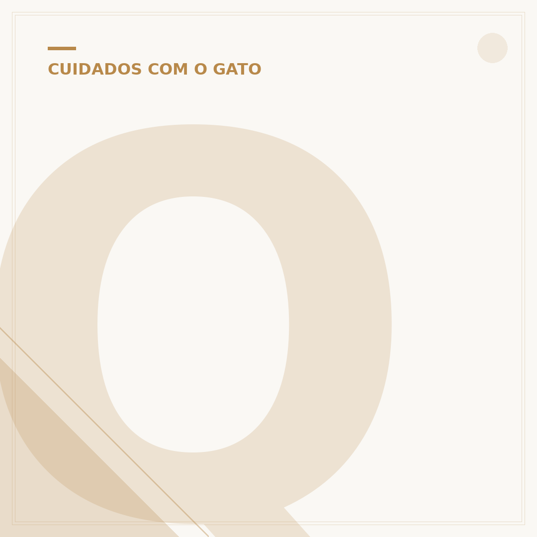 Quantos anos um gato pode viver?