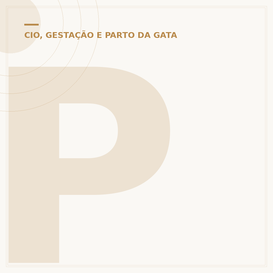 Pode dar anticoncepcional para gato no cio?