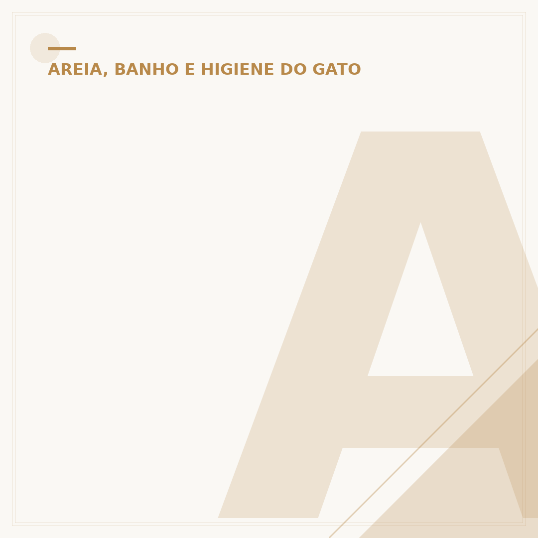 Areia para gato
