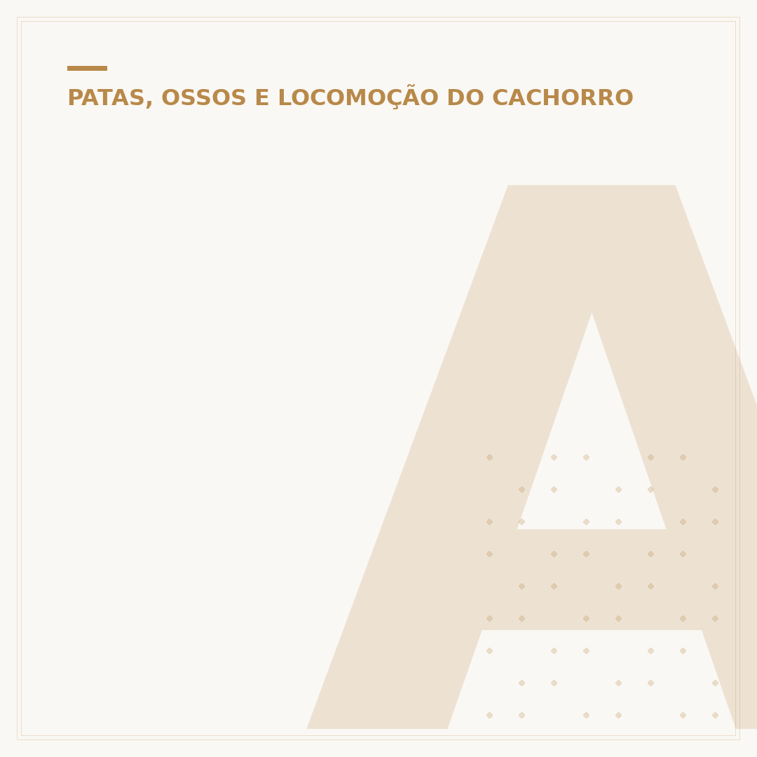 Artrite em cachorro: como identificar e cuidar