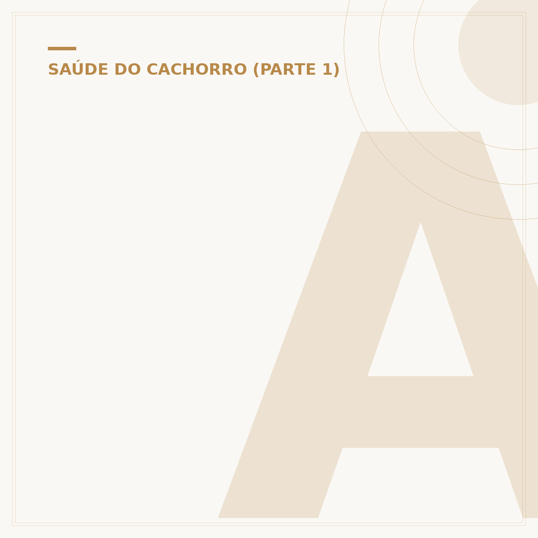 Ascite em cães