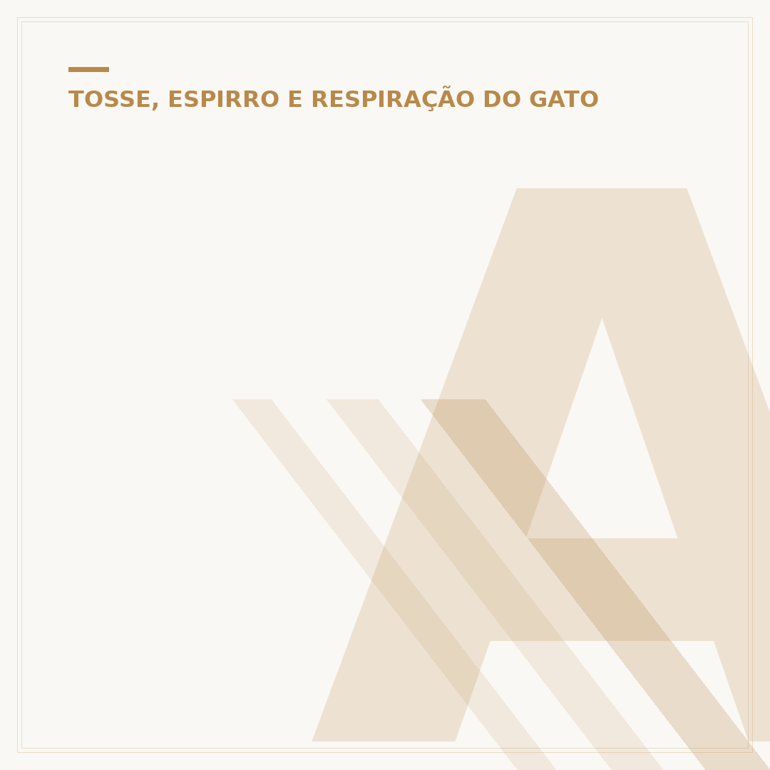 Asma de gato pega em humanos? Entenda a transmissão