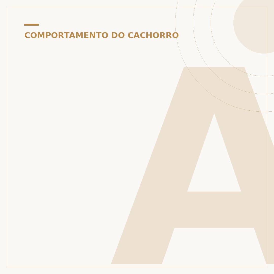 Audio de cachorro latindo: entenda os sons e comportamentos