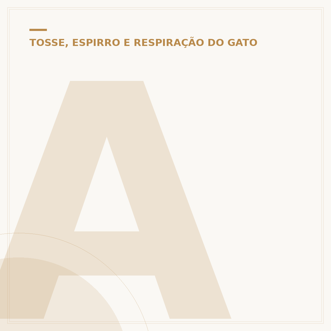 Azitromicina para gatos com gripe: quando usar e cuidados
