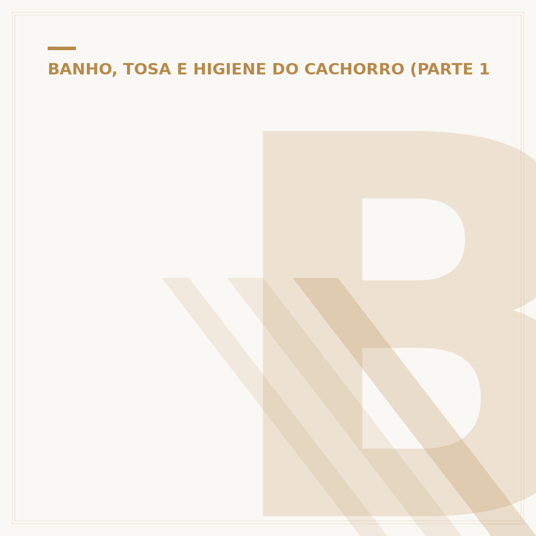 Banho a seco em cachorro