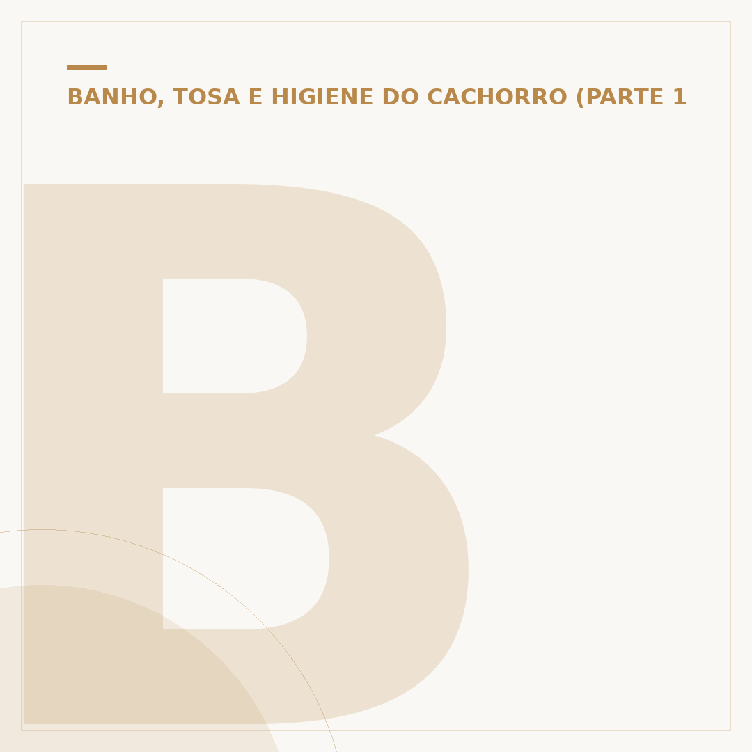 Banho e tosa em Goiânia
