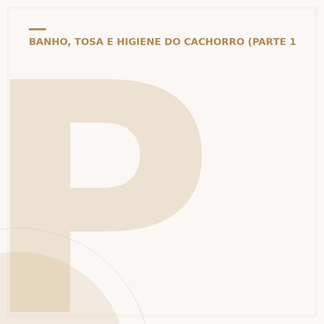 Pode dar banho em filhote de cachorro de 1 mês?