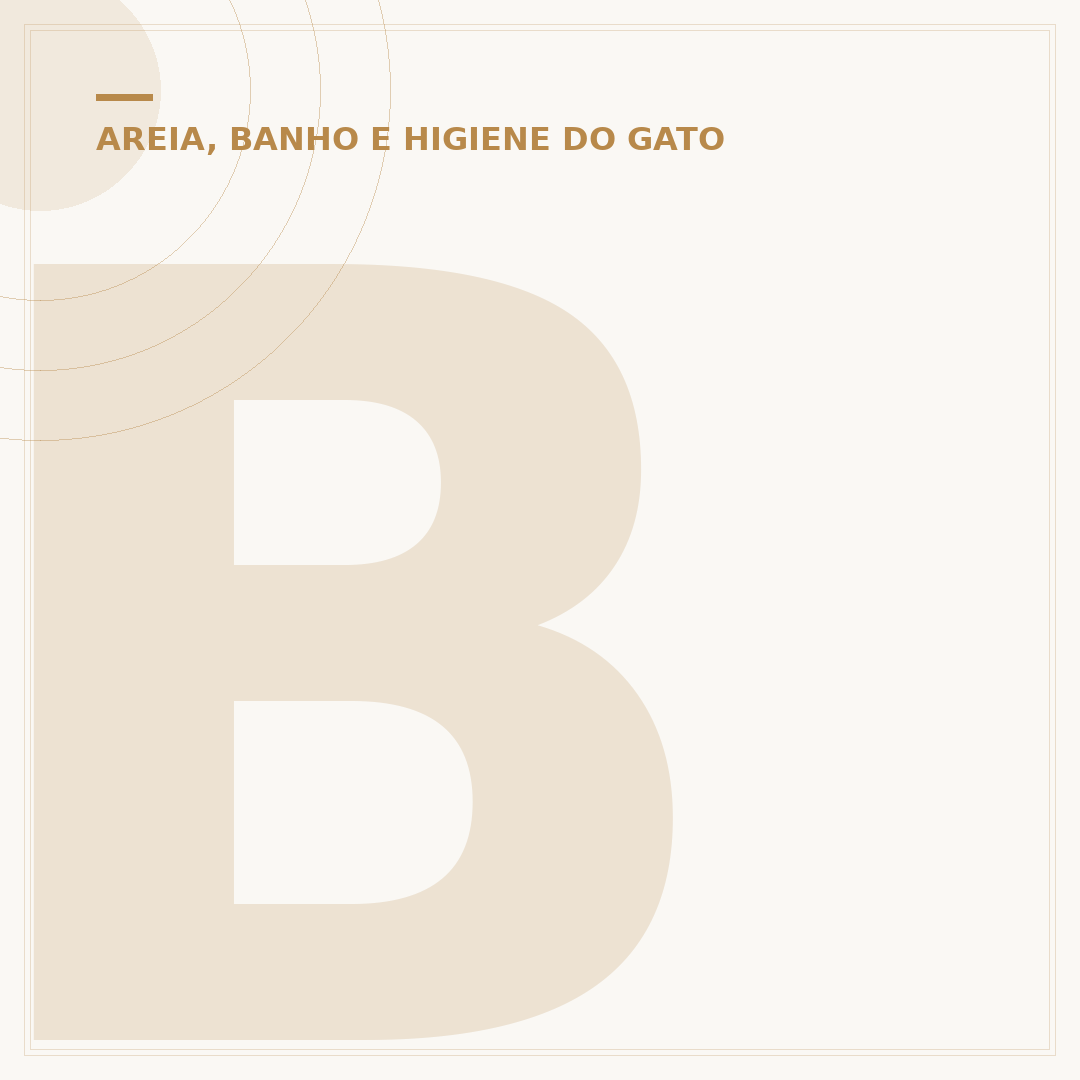 Banho a seco em gato: alternativas para a higiene felina