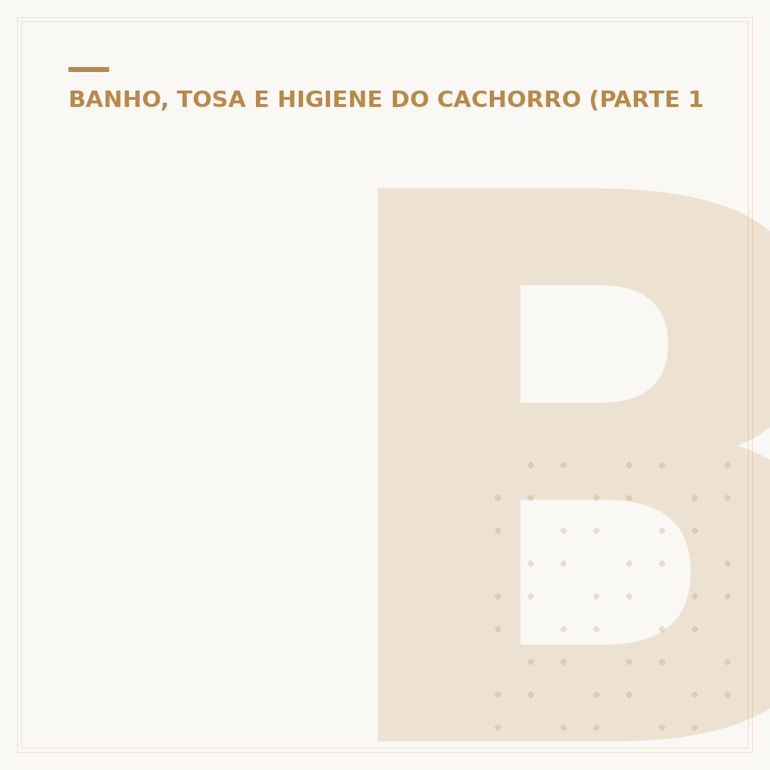 Banho e tosa higiênica: o que é e para que serve