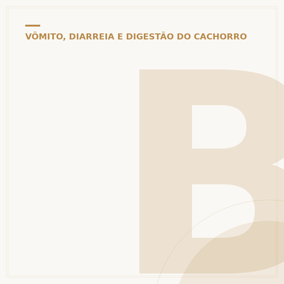Barriga do cachorro ficando preta: causas e o que fazer