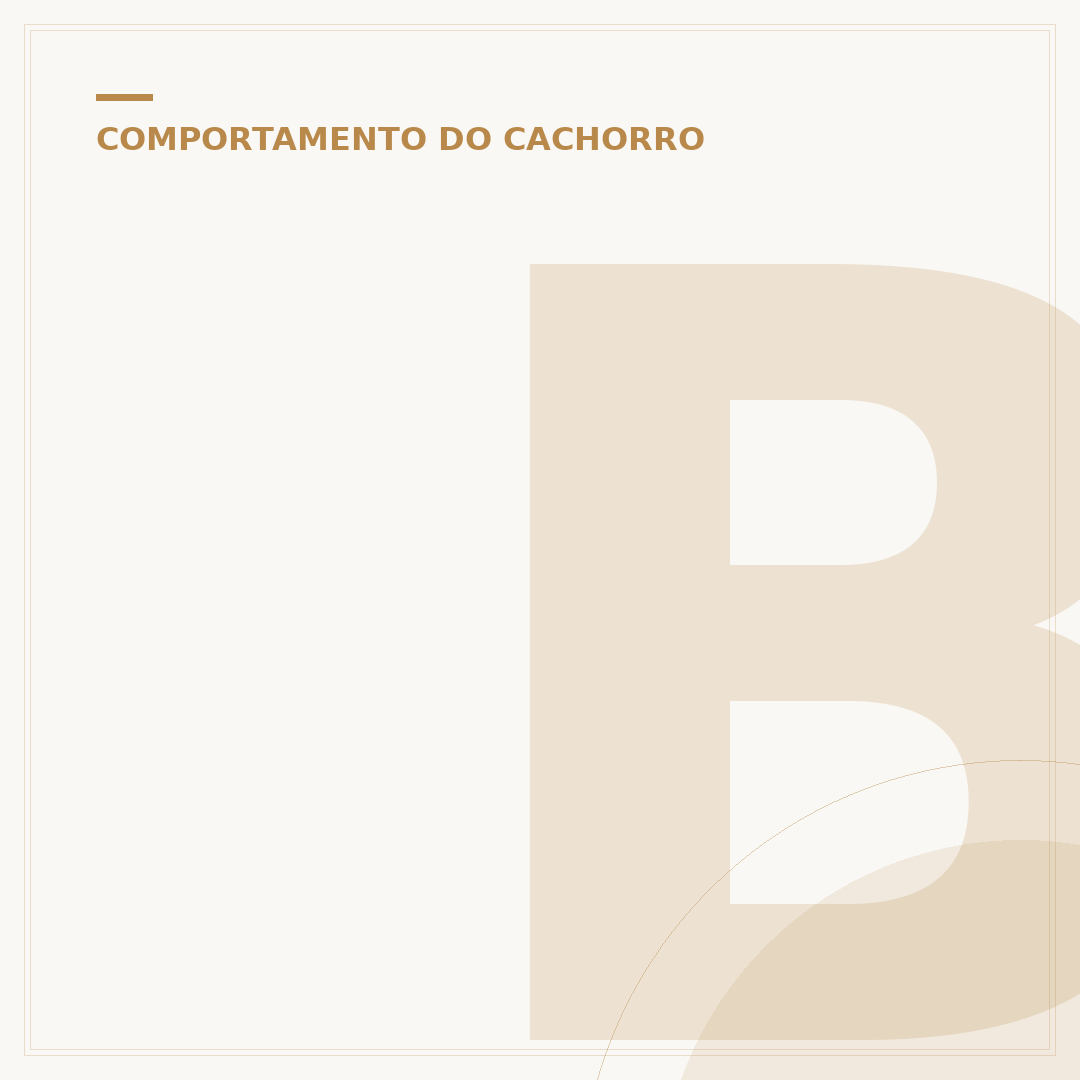 Barulho para cachorro parar de latir