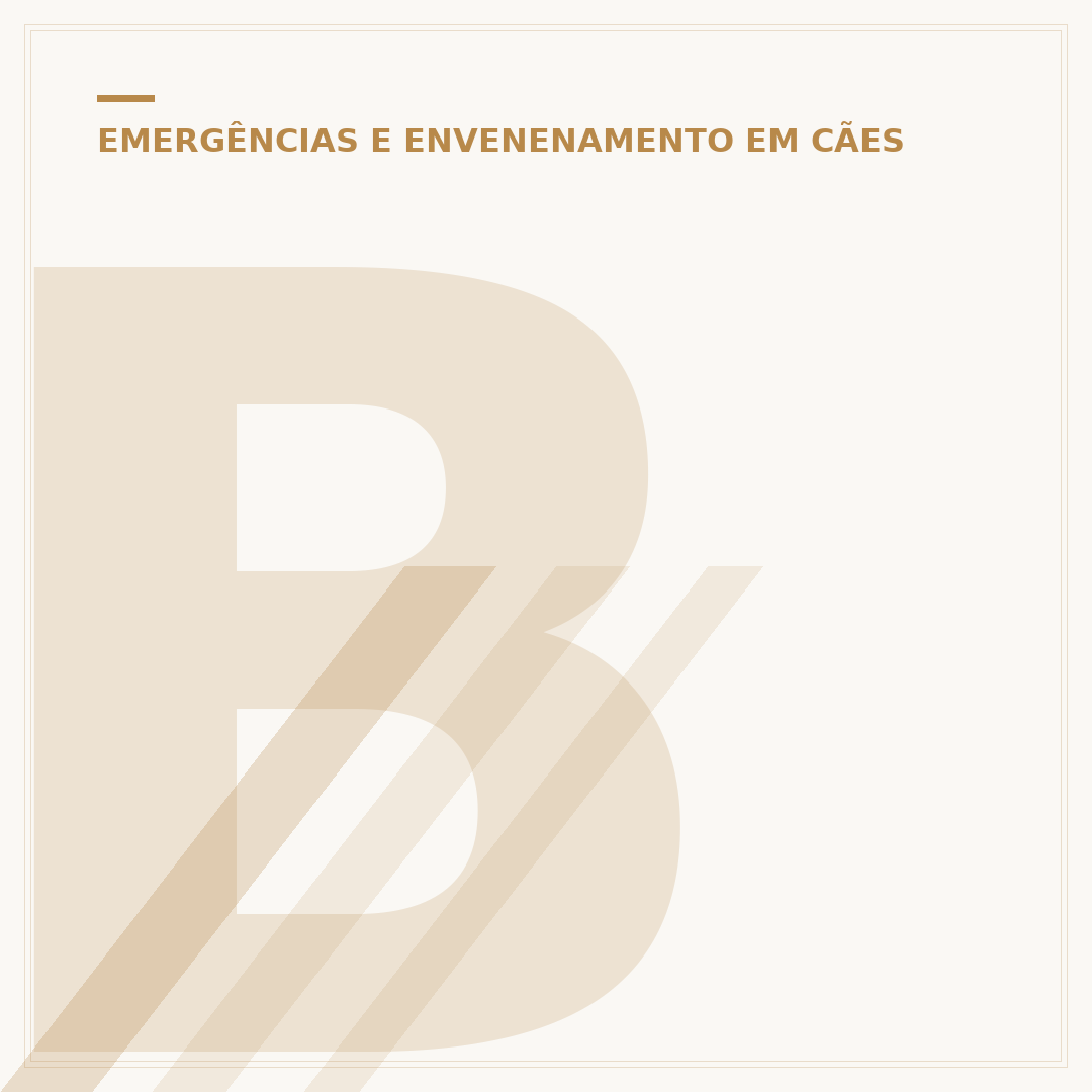 Batendo em cachorro morto: significado da expressão