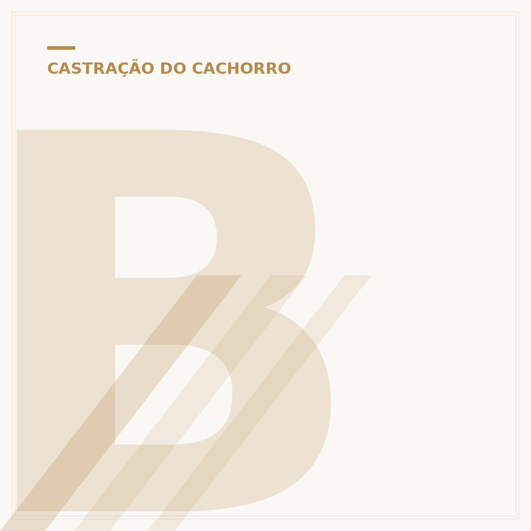 Benefícios de castrar cachorro macho: saúde e bem-estar