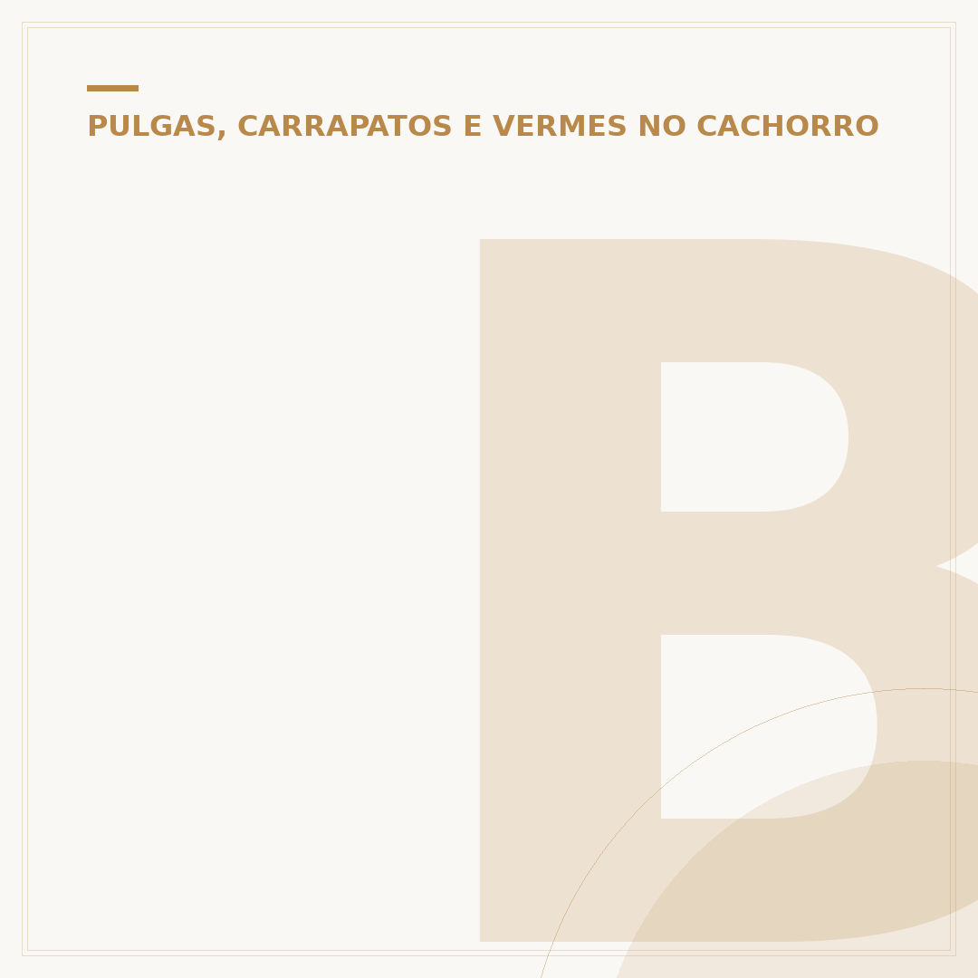 Berne em cachorro: o que é, riscos e como tratar