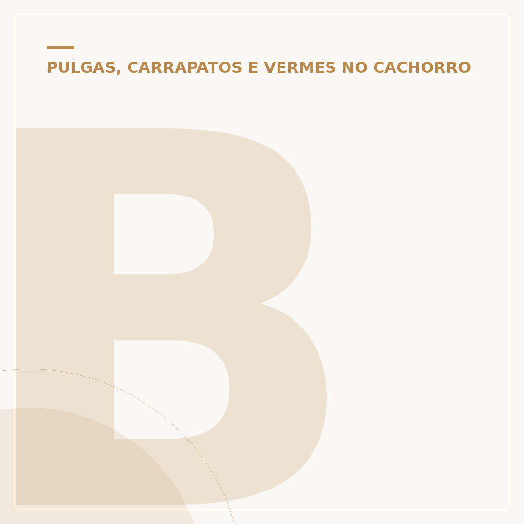 Berne na pata do cachorro: o que fazer e como prevenir
