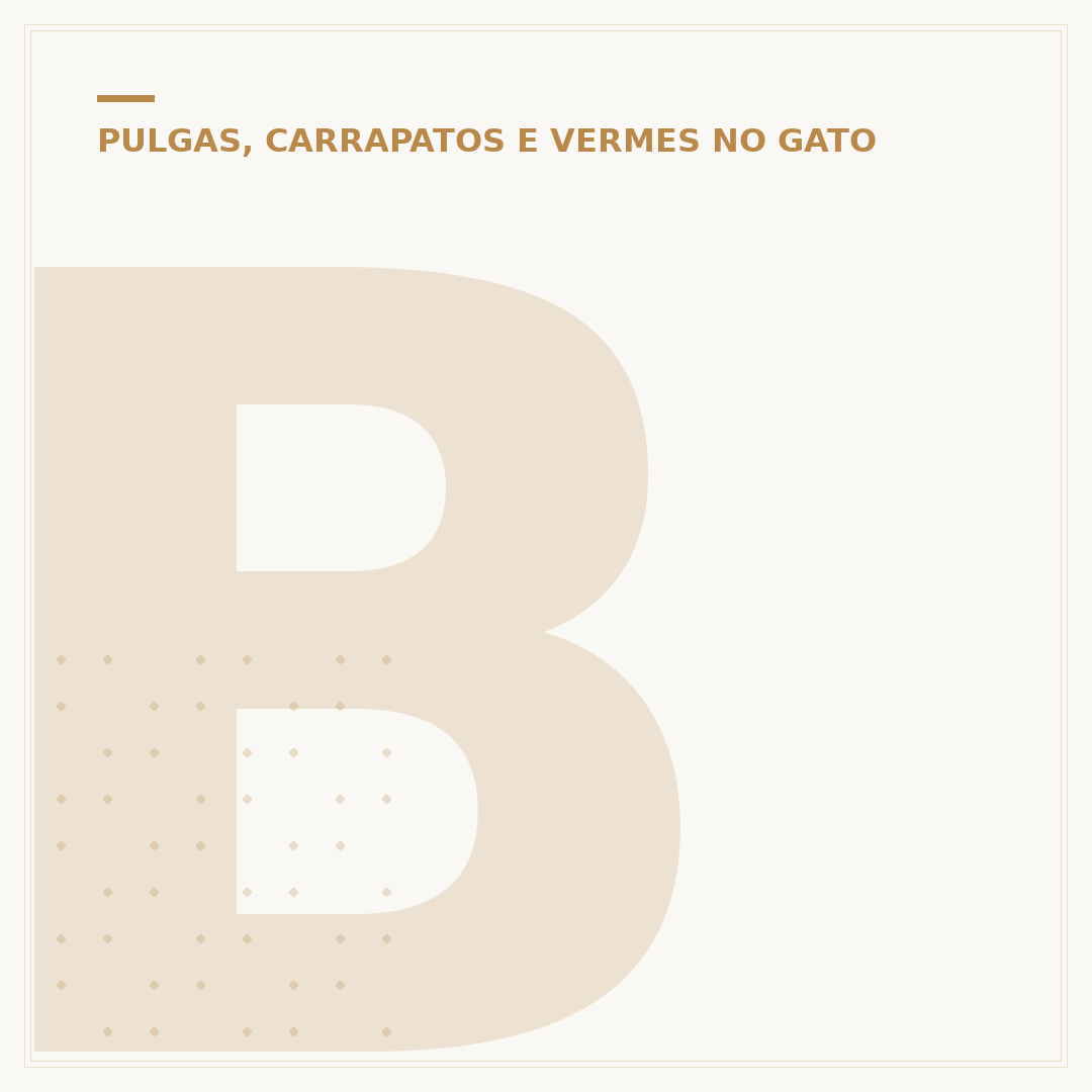 Bicheira em gato: o que é, causas, sintomas e tratamento