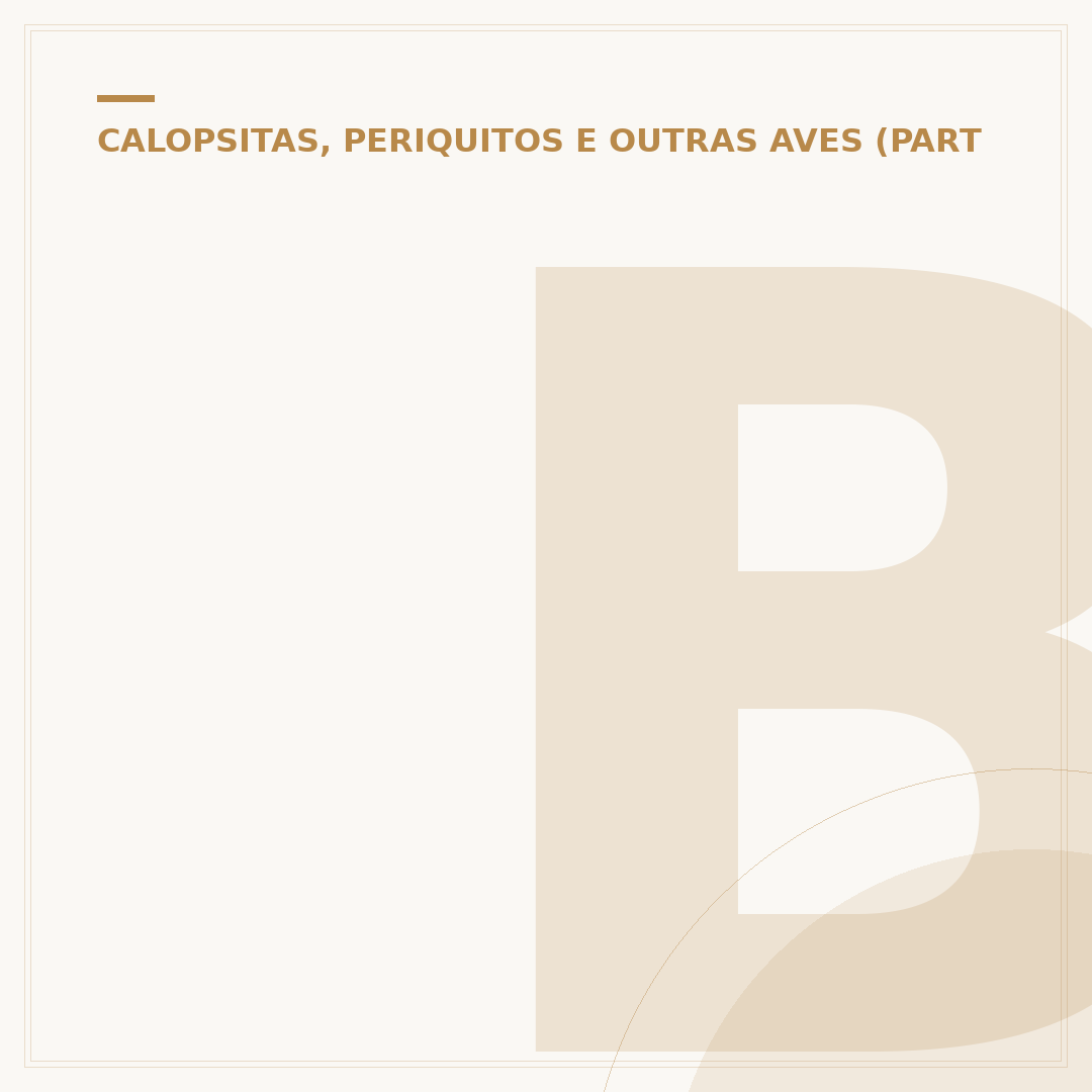 Bicos de papagaio: o que é, causas e como tratar