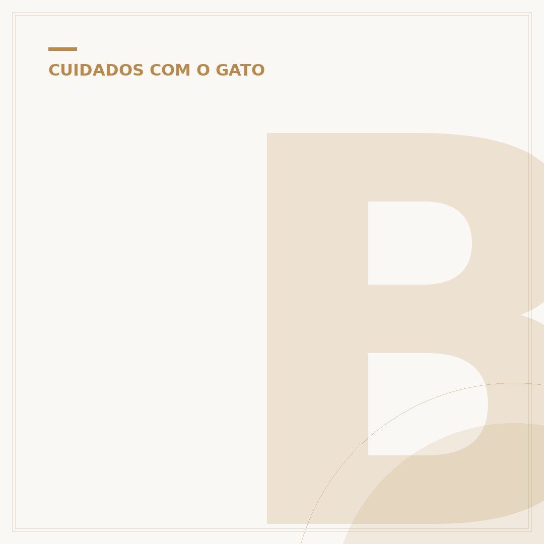 Bio Natural filhote gato: nutrição que seu pequeno merece