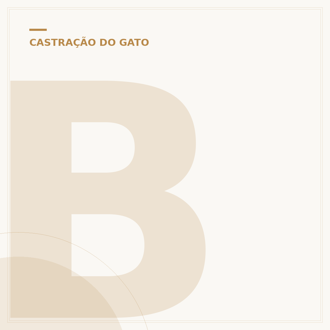 Bio natural gato castrado: alimentação para a saúde