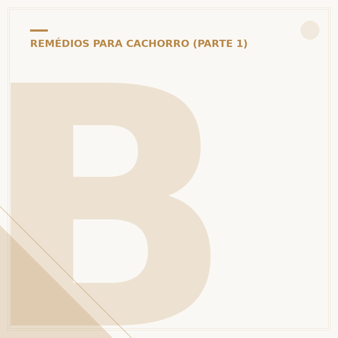 Biodex para cachorro: o que é e como funciona