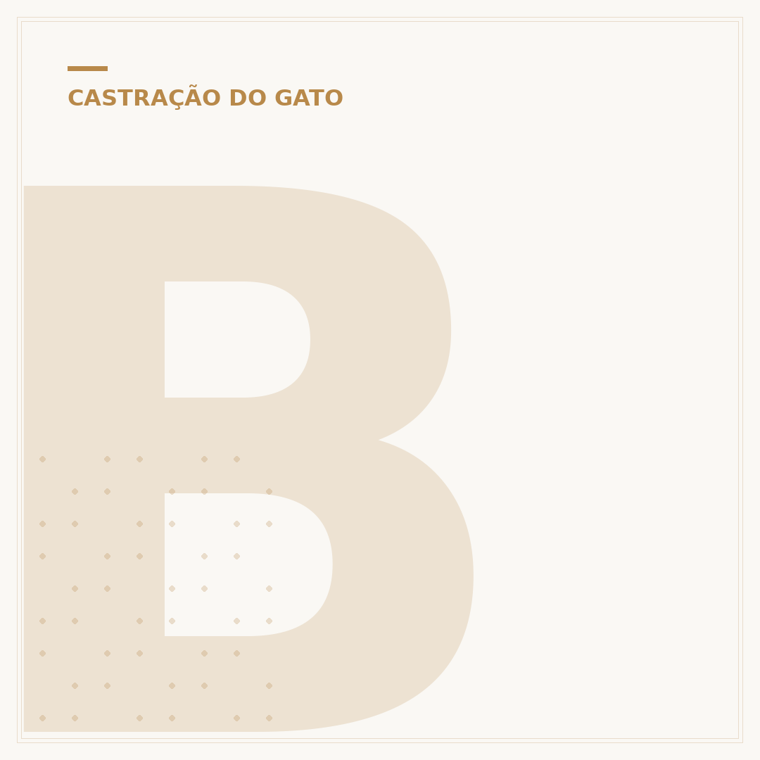 Bionatural para gato castrado