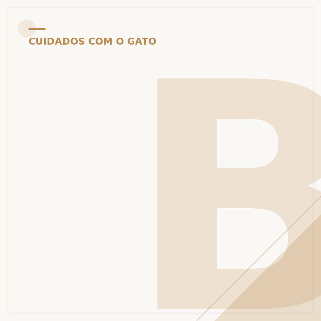 Bionatural Prime gato filhote: nutrição e cuidados