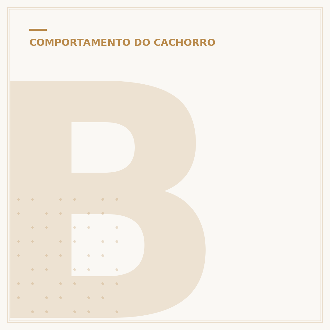 Bola para cachorro brincar