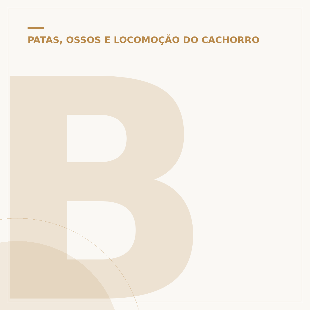 Bolha na pata do cachorro: causas, riscos e cuidados