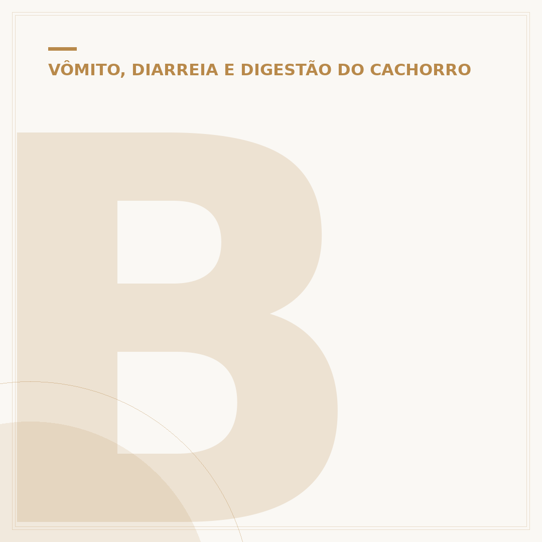 Bolha de pus na barriga do cachorro filhote