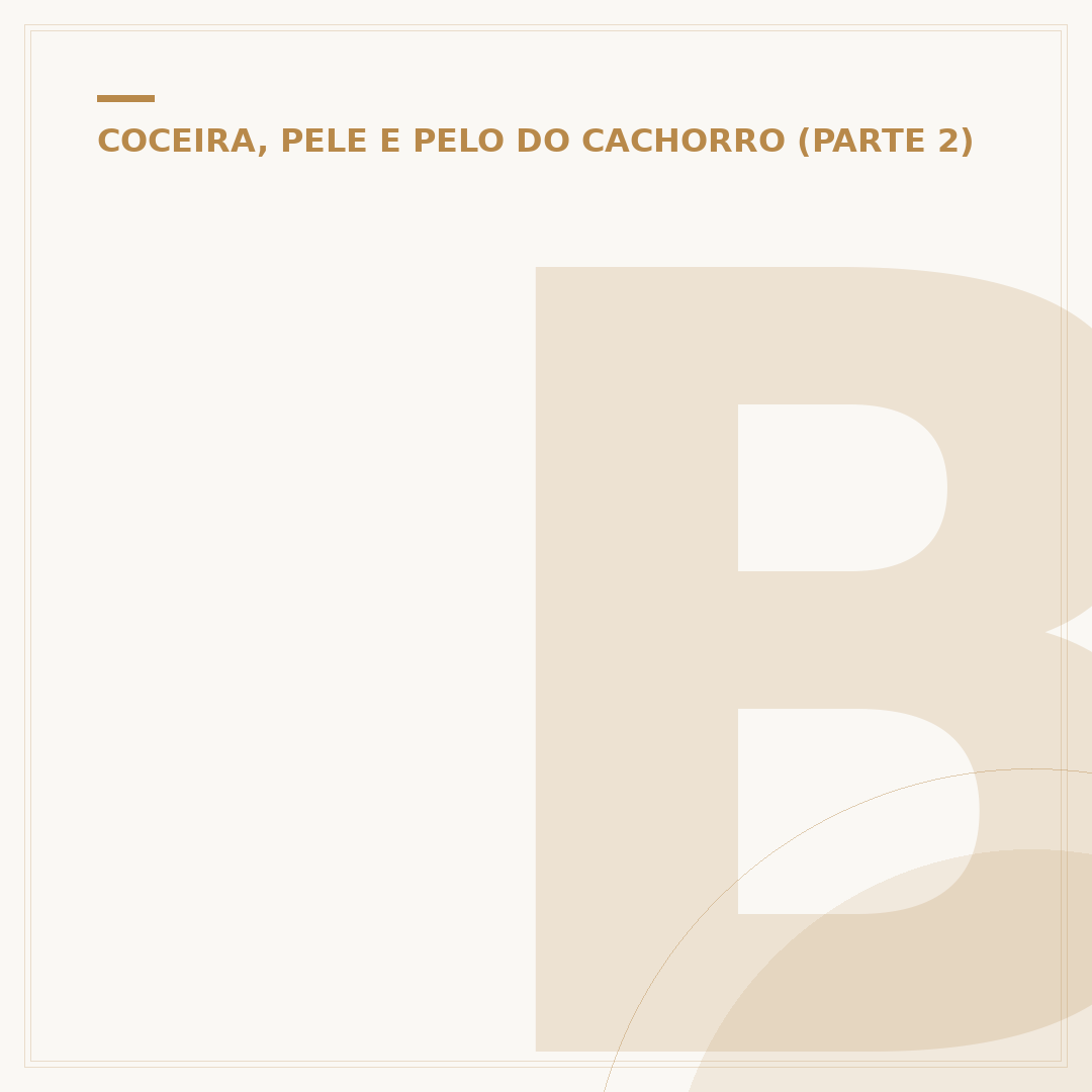 Bolhas na pele do cachorro: causas e quando se preocupar