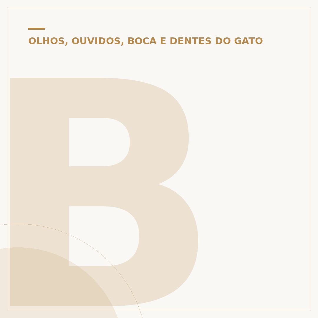 Bolhas na orelha do gato: causas, sintomas e cuidados