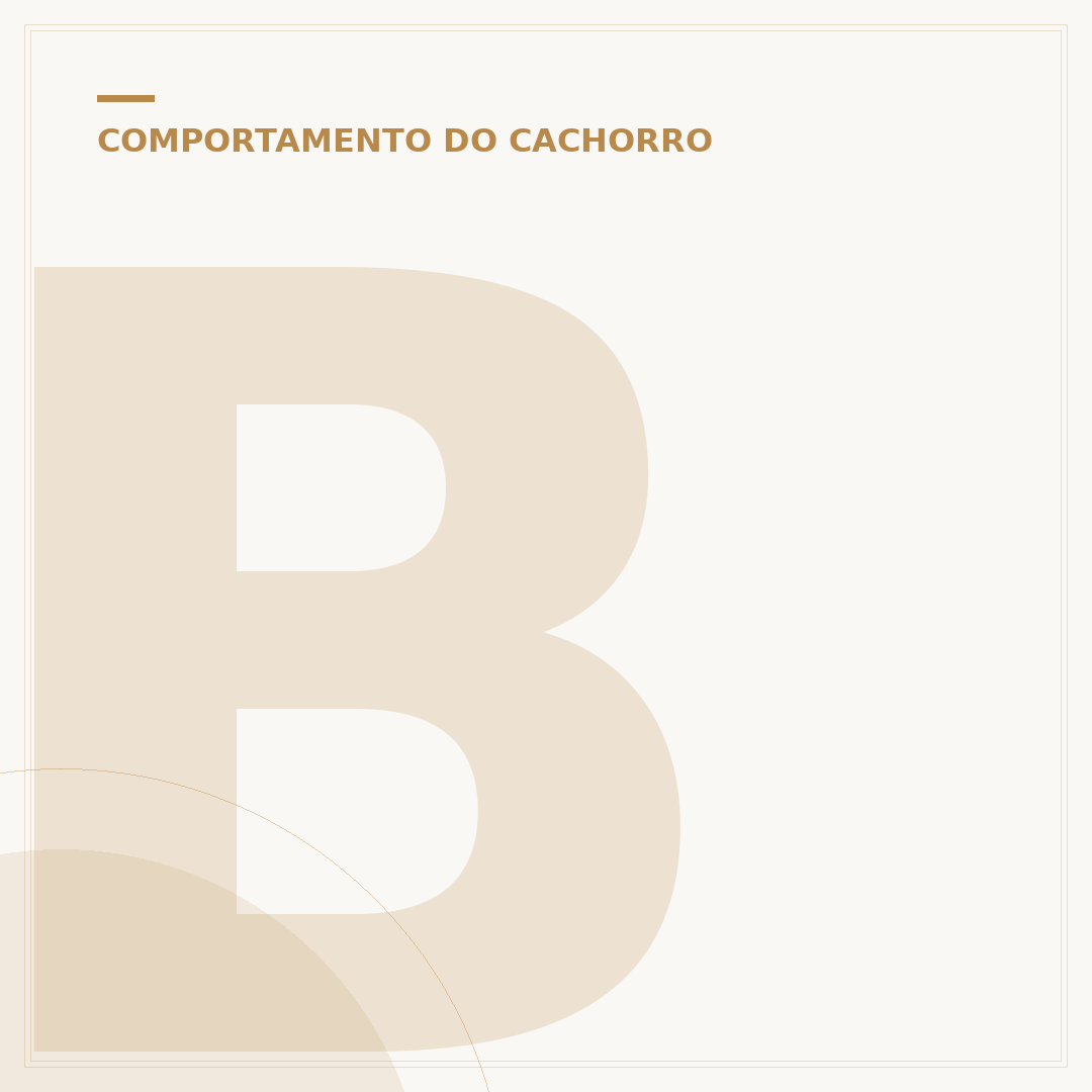Bolinha para cachorro brincar