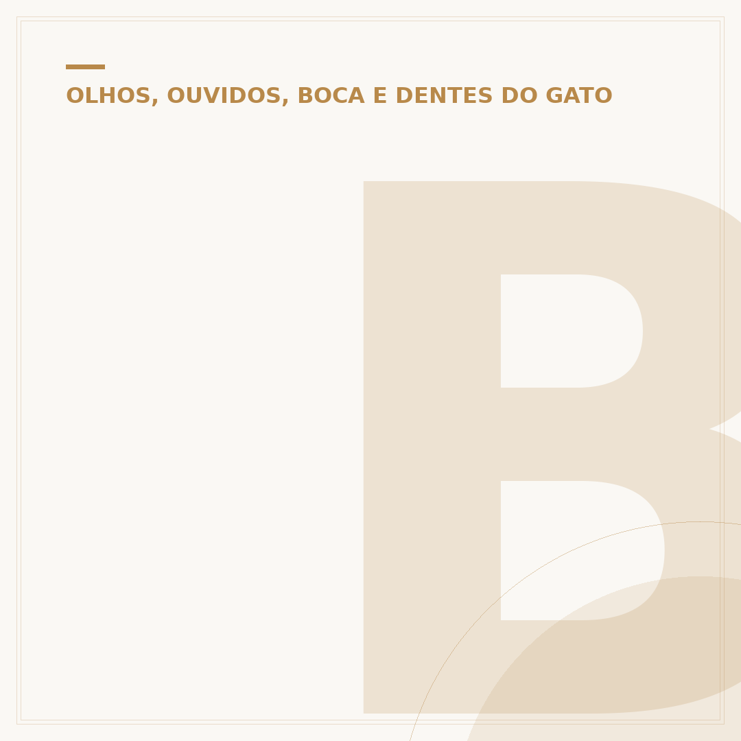 Bolinhas na orelha do gato: causas, sintomas e cuidados
