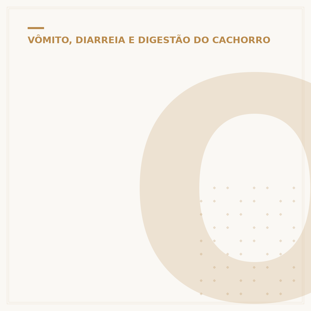 O que é bom para diarreia de cachorro: cuidados e causas