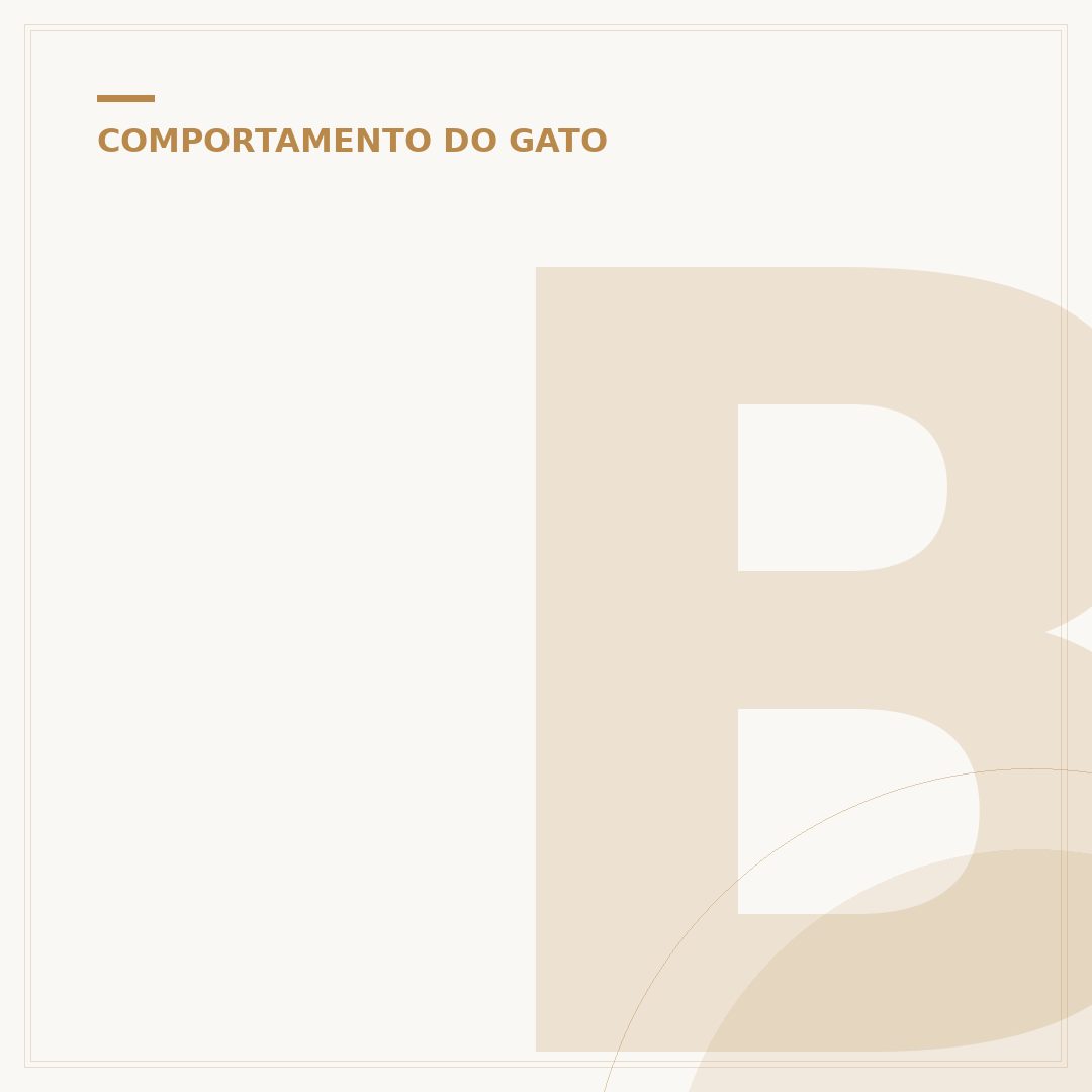 Brechó Gato Mia: onde encontrar moda sustentável e única