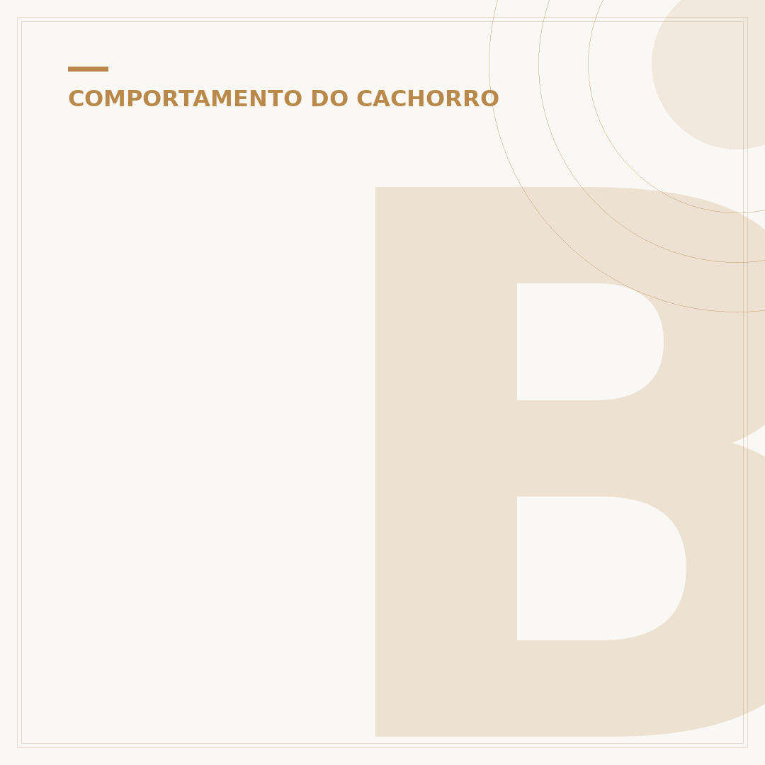 Brinquedos para cachorro filhote morder