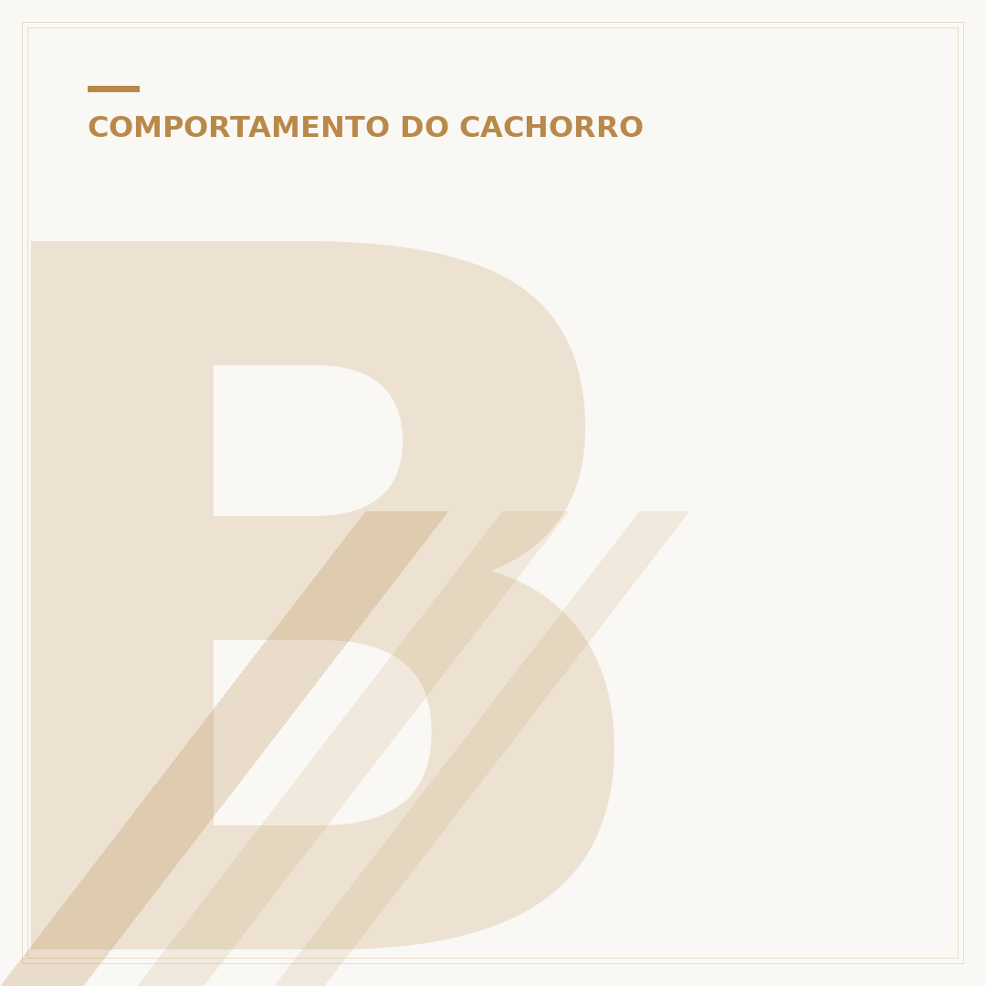 Brinquedo para cachorro que fica sozinho