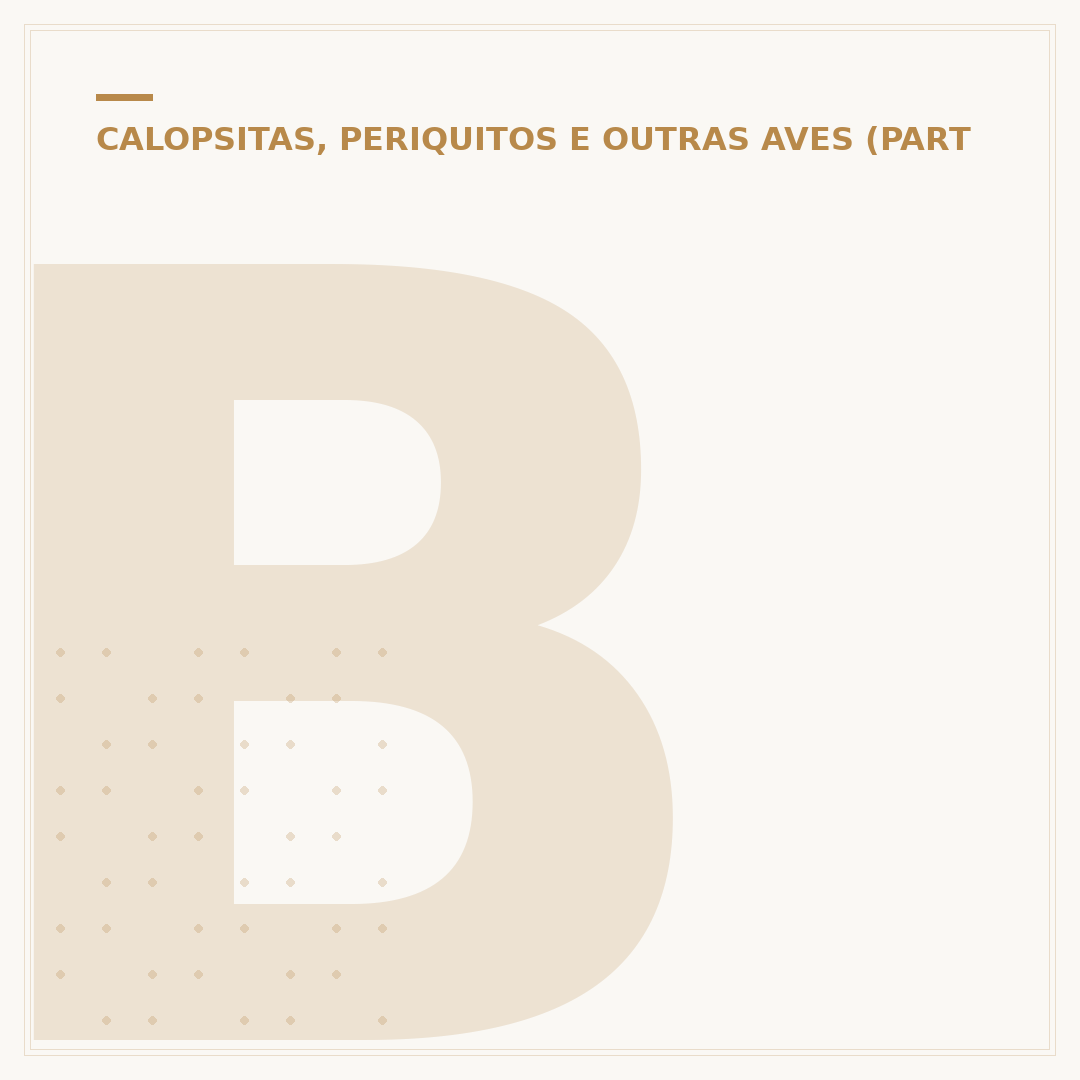 Brinquedo periquito: como escolher o melhor para seu pássaro